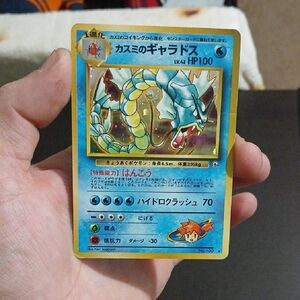 (Japanese) Misty's Gyarados